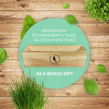 Load image into Gallery viewer, Premium Herb Garden Kit