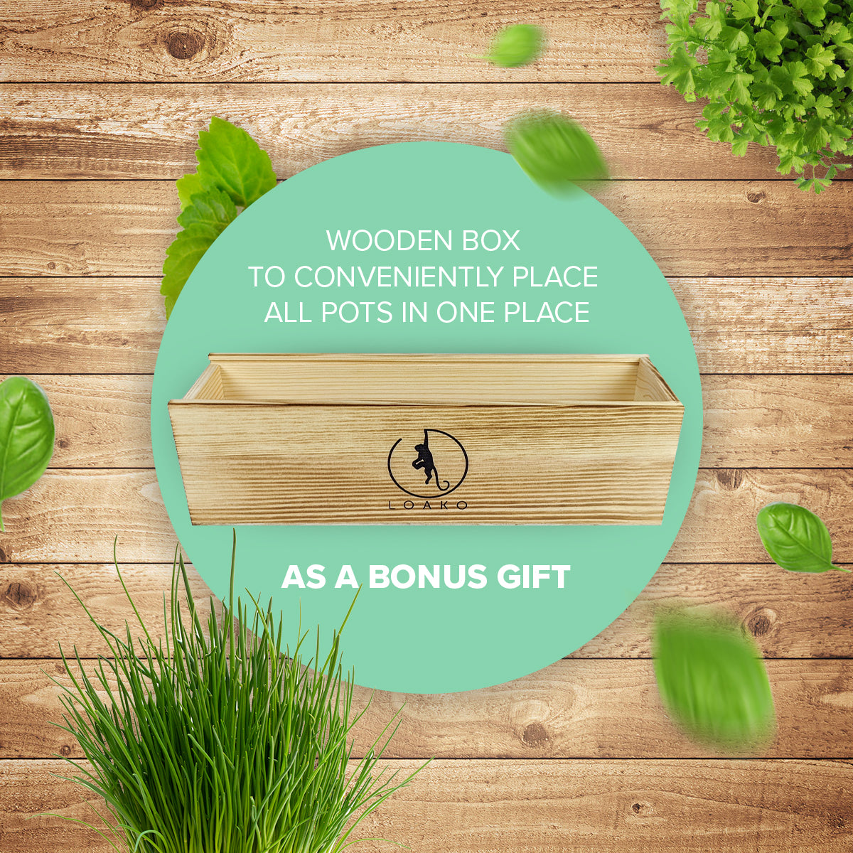 Premium Herb Garden Kit Loako