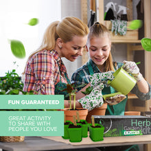 Load image into Gallery viewer, Premium Herb Garden Kit