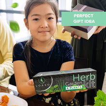 Load image into Gallery viewer, Premium Herb Garden Kit