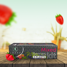 Load image into Gallery viewer, Mixed Berries Growing Kit