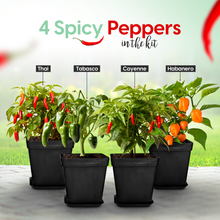 Load image into Gallery viewer, Spicy Peppers Growing Kit