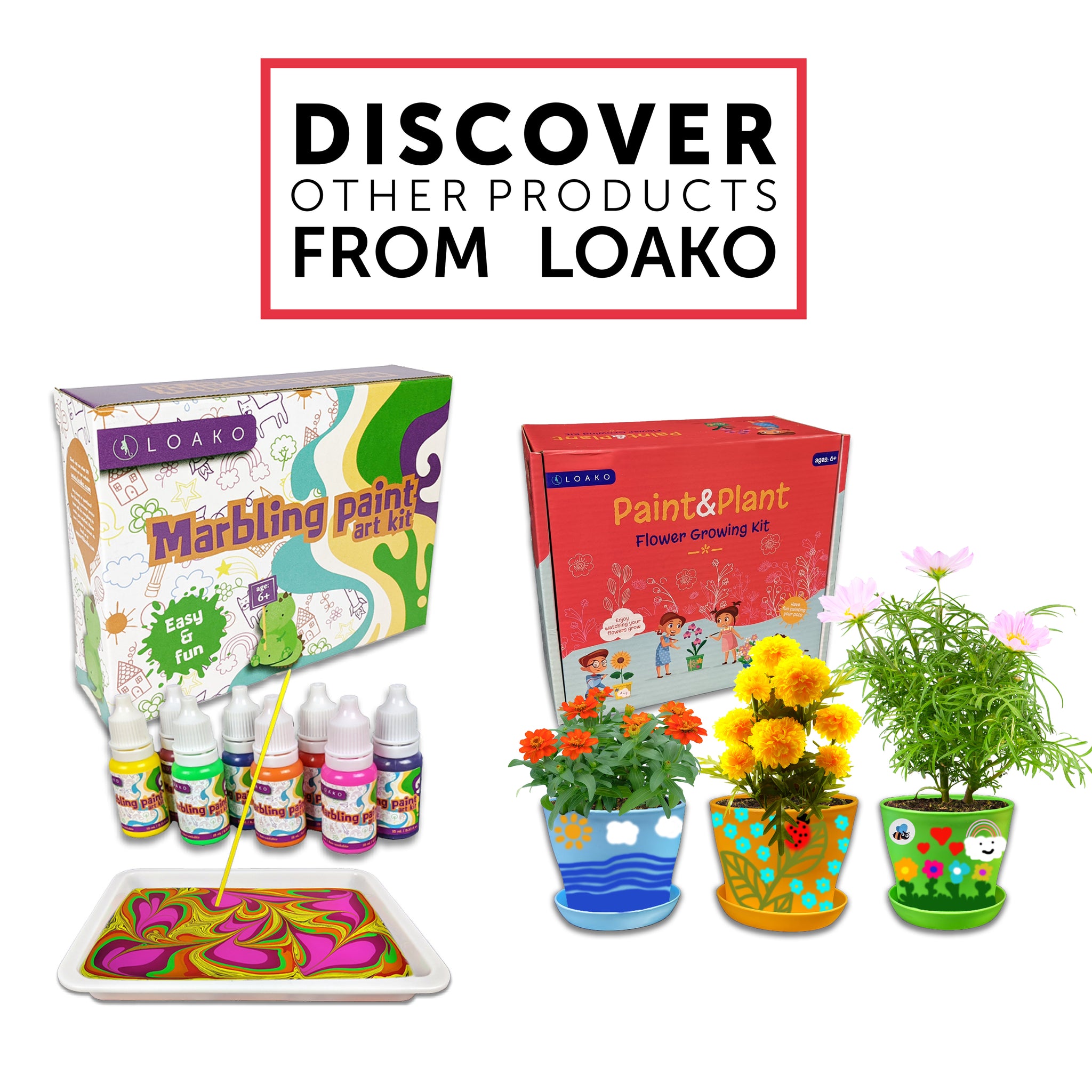 paint your own plant pot kit Paint and Plant Flower Growing Kit – Loako