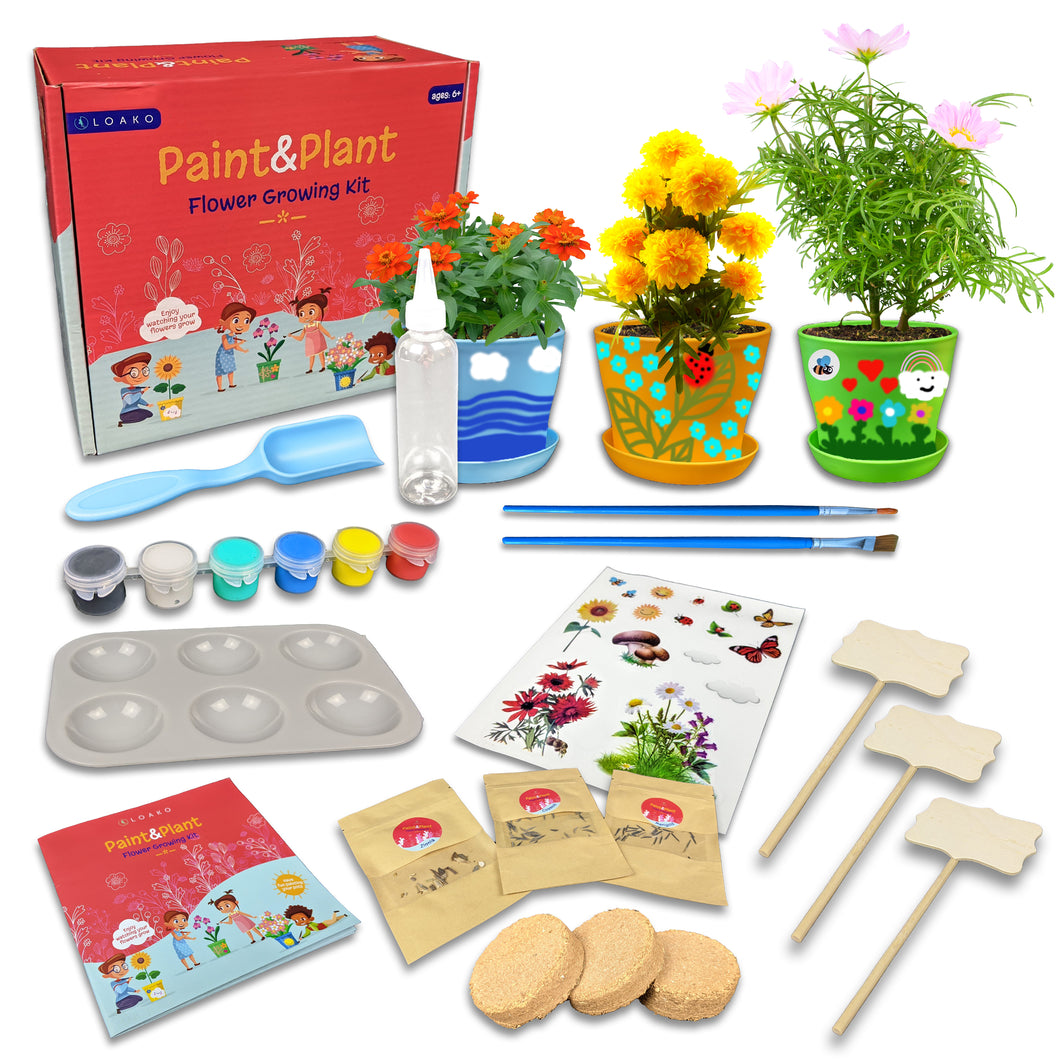 paint your own plant pot kit Paint and Plant Flower Growing Kit – Loako