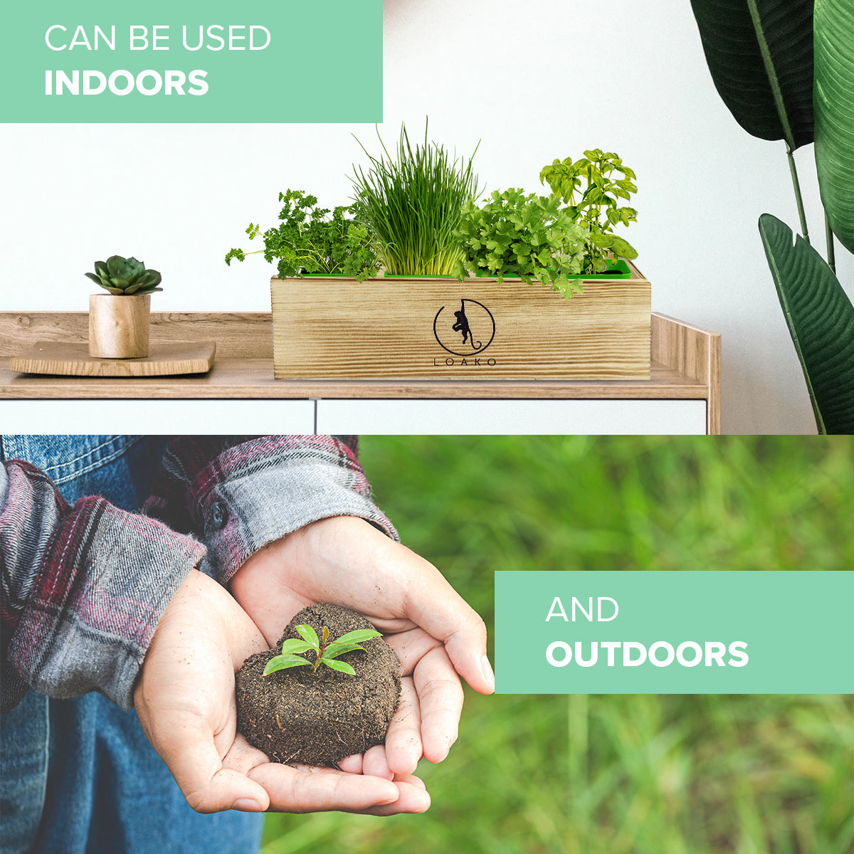 loako premium bonsai tree kit Premium Herb Garden Kit