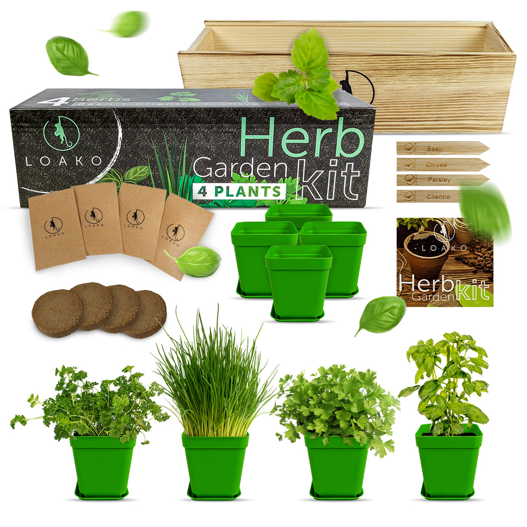 loako bonsai tree kit Premium Herb Garden Kit – Loako